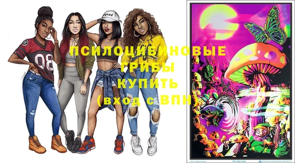 МДПВ Инта