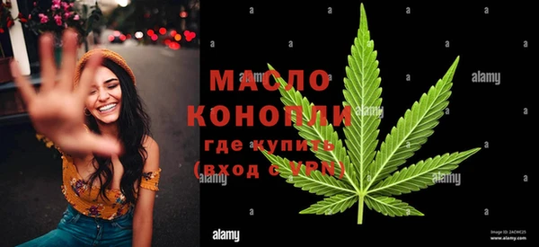 МДПВ Инта