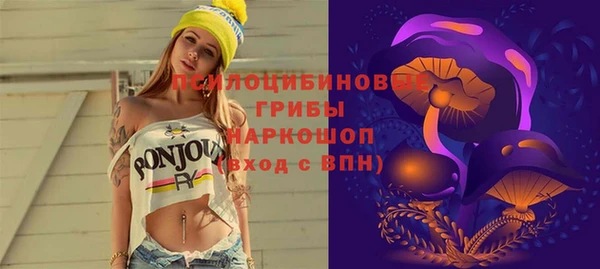 МДПВ Инта