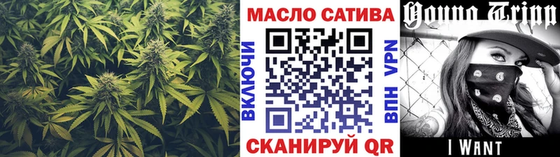 Купить закладки  Заводоуковск  ТГК жижа 